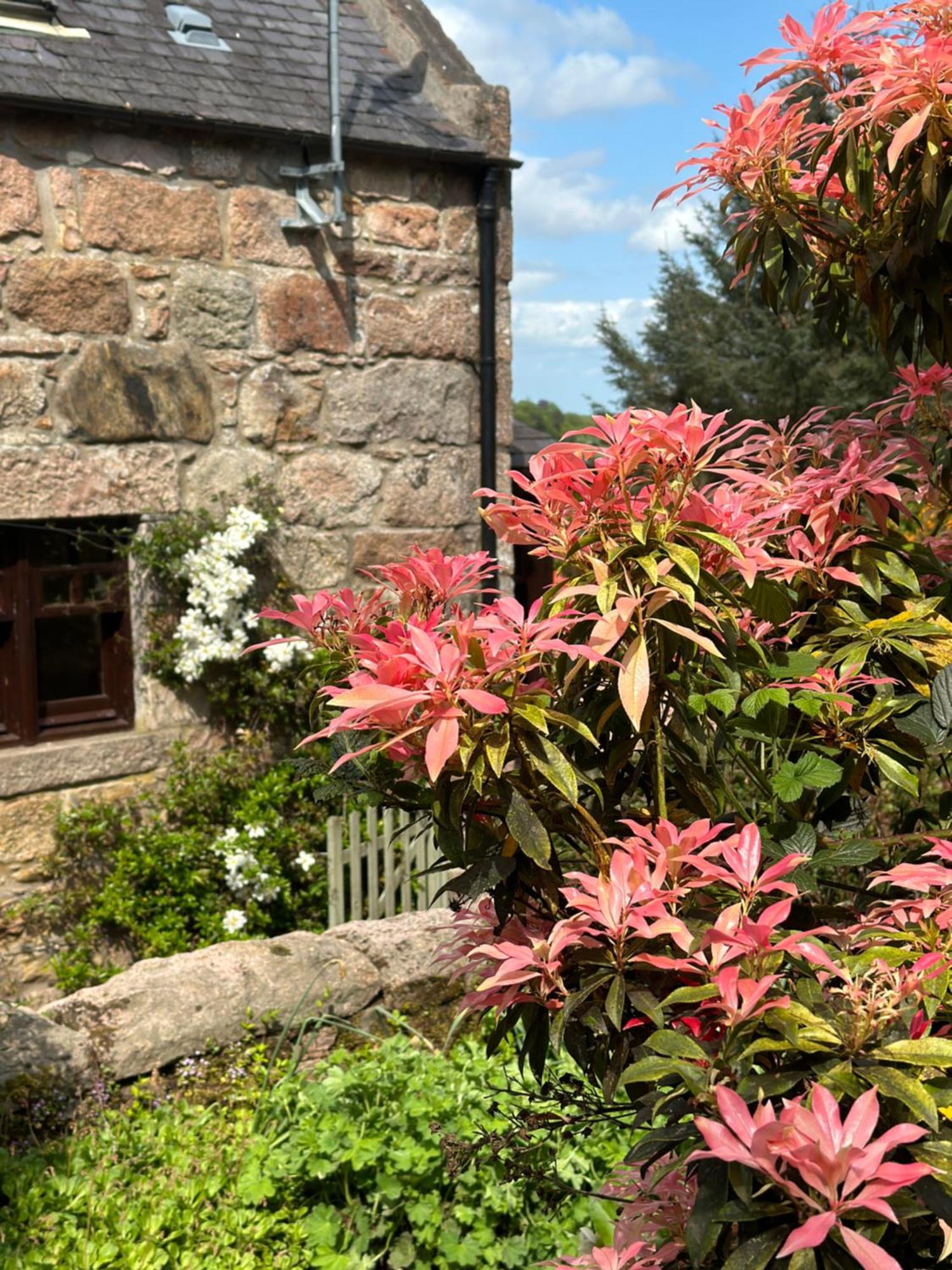Bed and Breakfast Awakening Alchemy Retreat Centre Inverurie Exterior foto