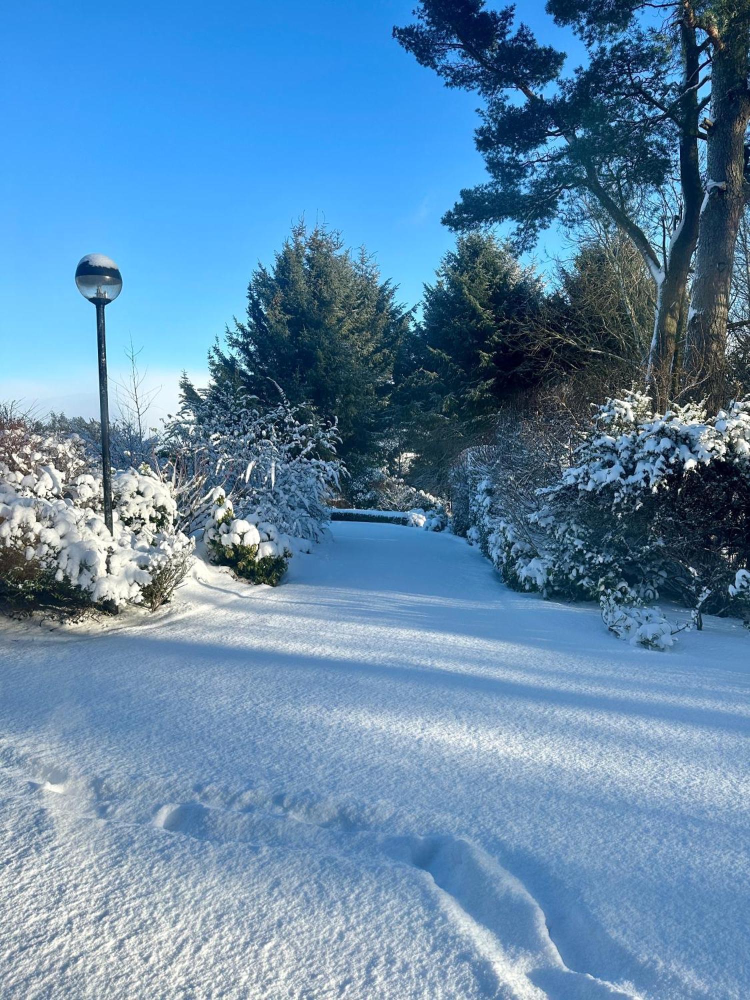 Bed and Breakfast Awakening Alchemy Retreat Centre Inverurie Exterior foto